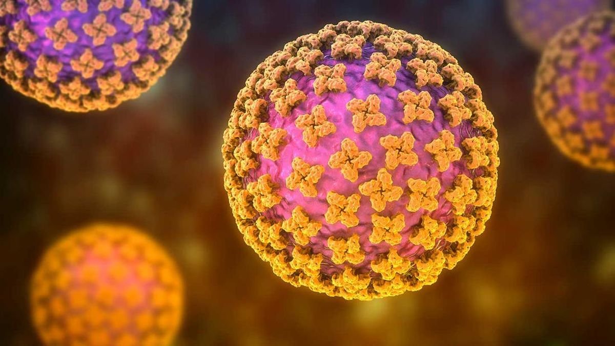 Suspek Hantavirus Kulon Progo Negatif, Celah Sanitasi Jadi Sorotan