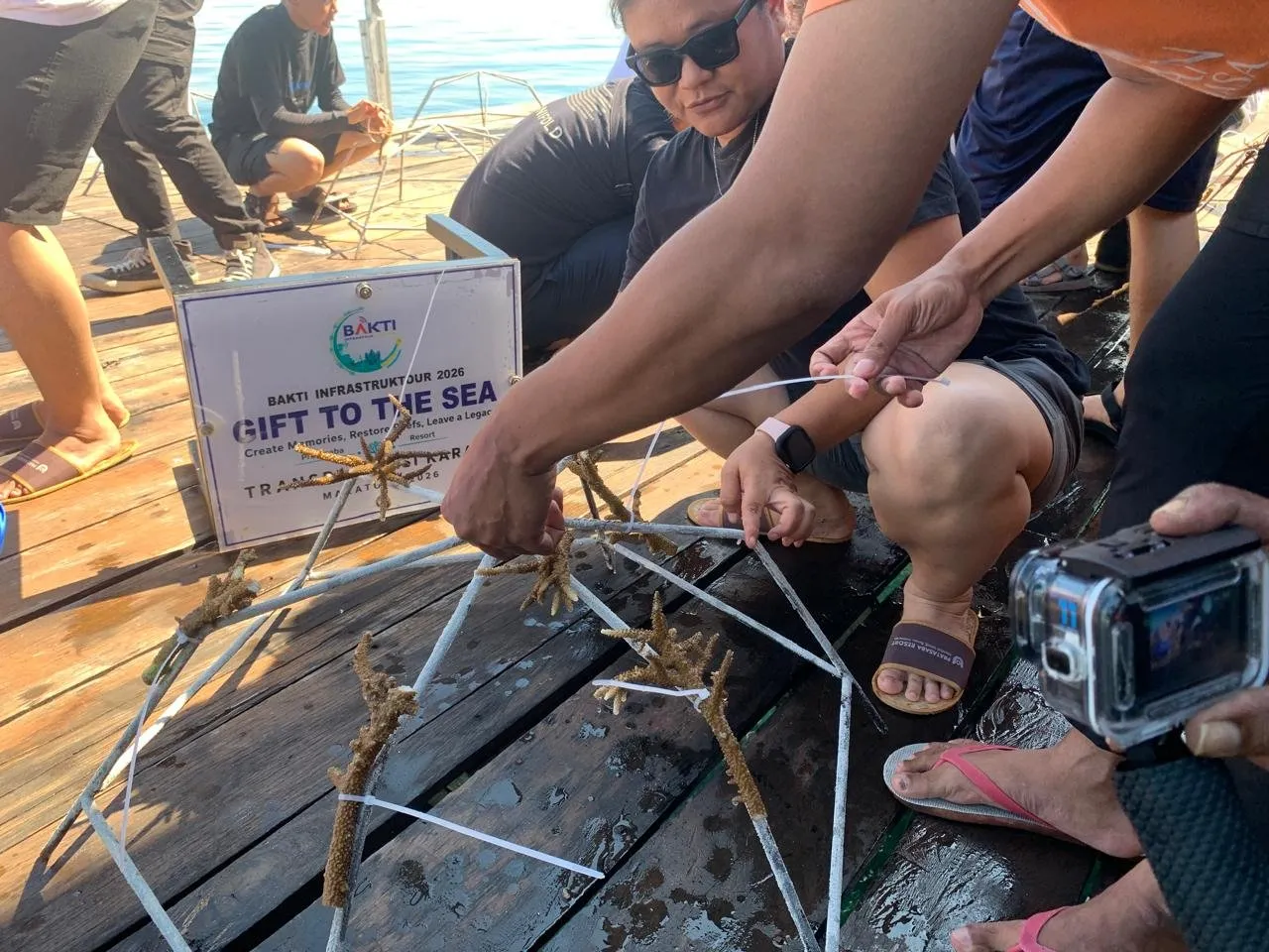 Kritik Aksi BAKTI Komdigi Transplantasi Terumbu Karang di Maratua