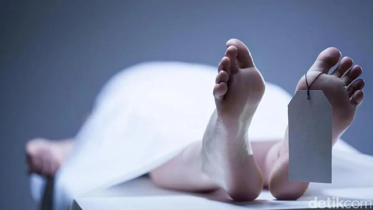 Tragis, Pemuda di Bogor Tewas Digigit Ular Weling Saat Nongkrong