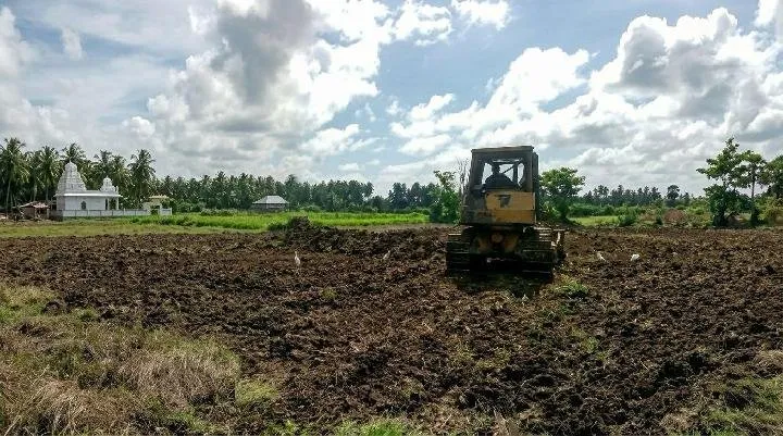 Rehabilitasi Sawah Bireuen Capai 85 Persen, Penanganan Rusak Berat Masih Terkatung-katung