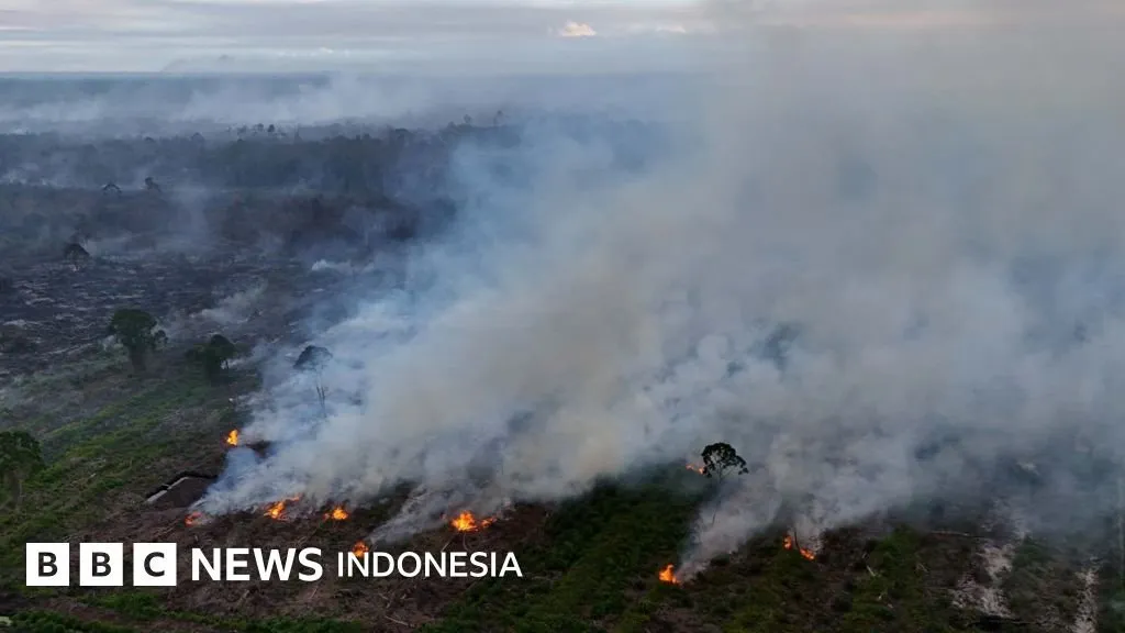 Karhutla Nagan Raya Aceh Meluas 90 Hektare, Mitigasi Pemerintah Dipertanyakan