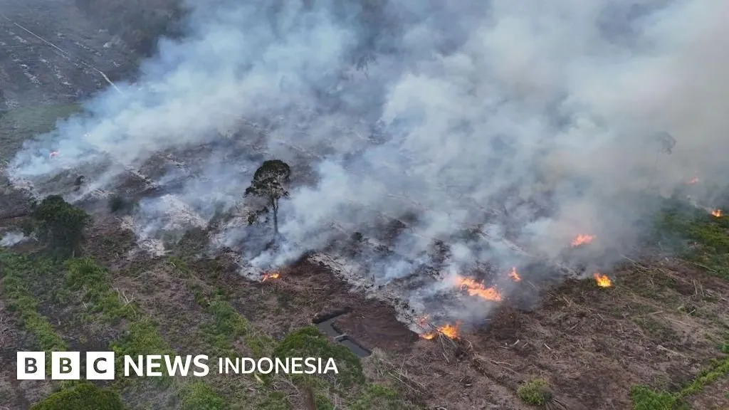 El Niño Resmi Dimulai: Indonesia Terancam Kekeringan dan Karhutla Parah
