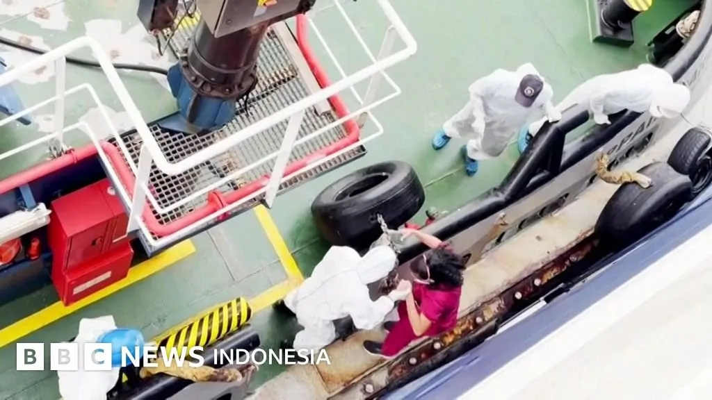 WHO Ingatkan Potensi Penularan Hantavirus Antarmanusia di MV Hondius