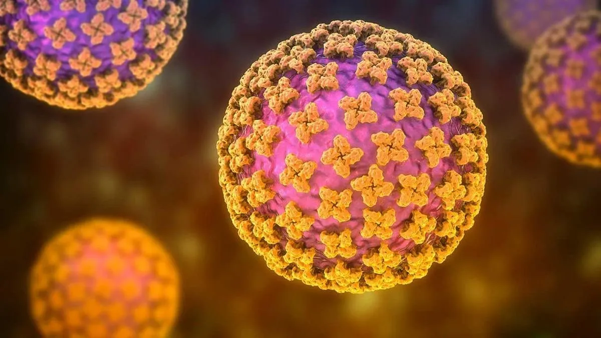Suspek Hantavirus Kulon Progo Negatif, Celah Sanitasi Jadi Sorotan
